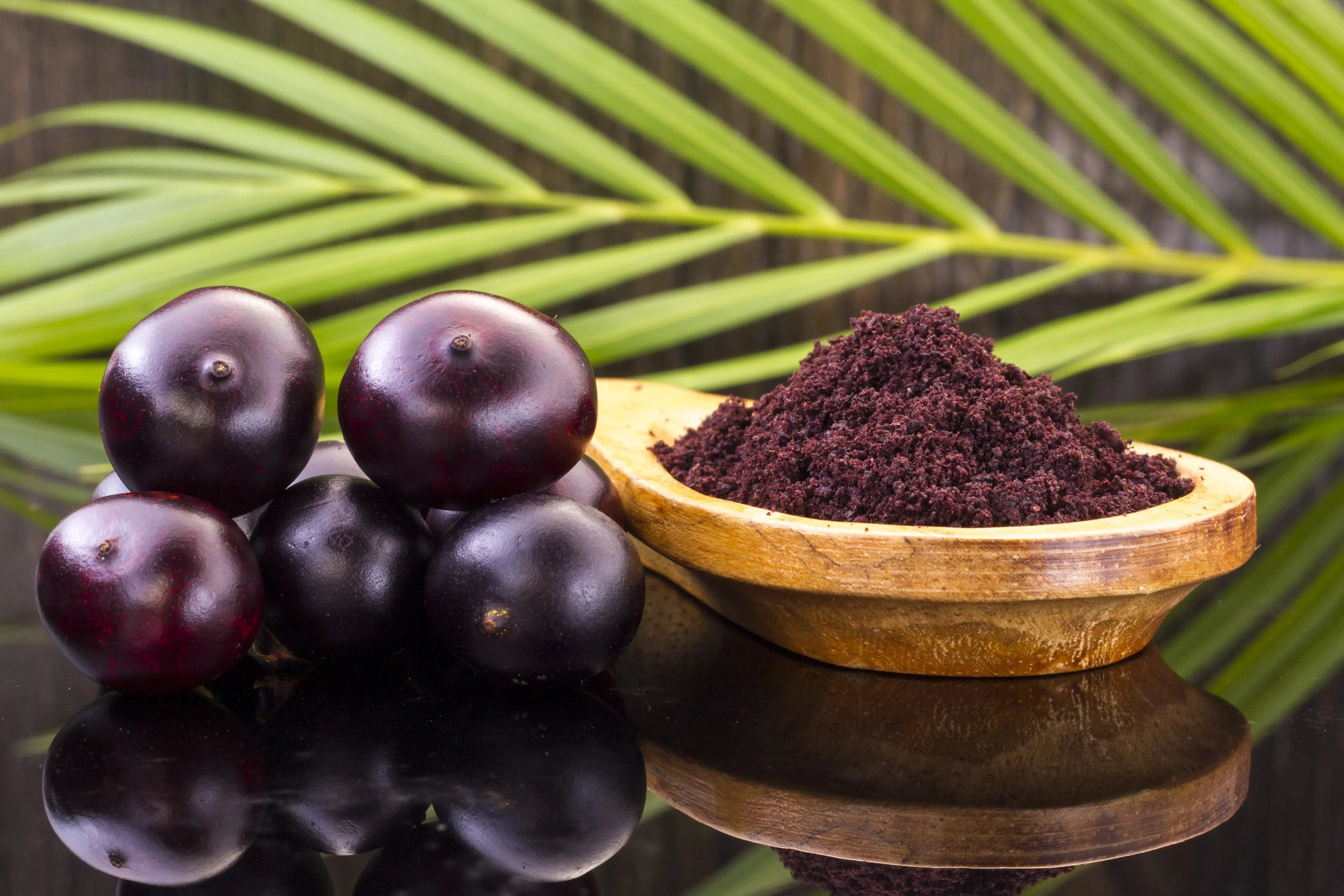 Comprehensive Guide to oribite Diabex Capsules - Oribite