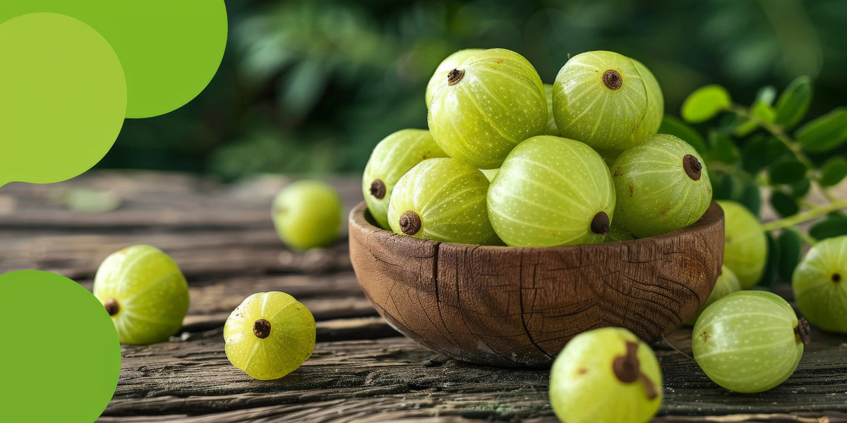 Comprehensive Guide to Oribite Immunity Booster Capsules - Oribite