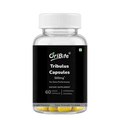 A clear plastic bottle of OriBite Tribulus Capsules 500mg, featuring a white ribbed cap and a black label with white text. Yellow capsules are visible inside the clear bottle at the bottom.